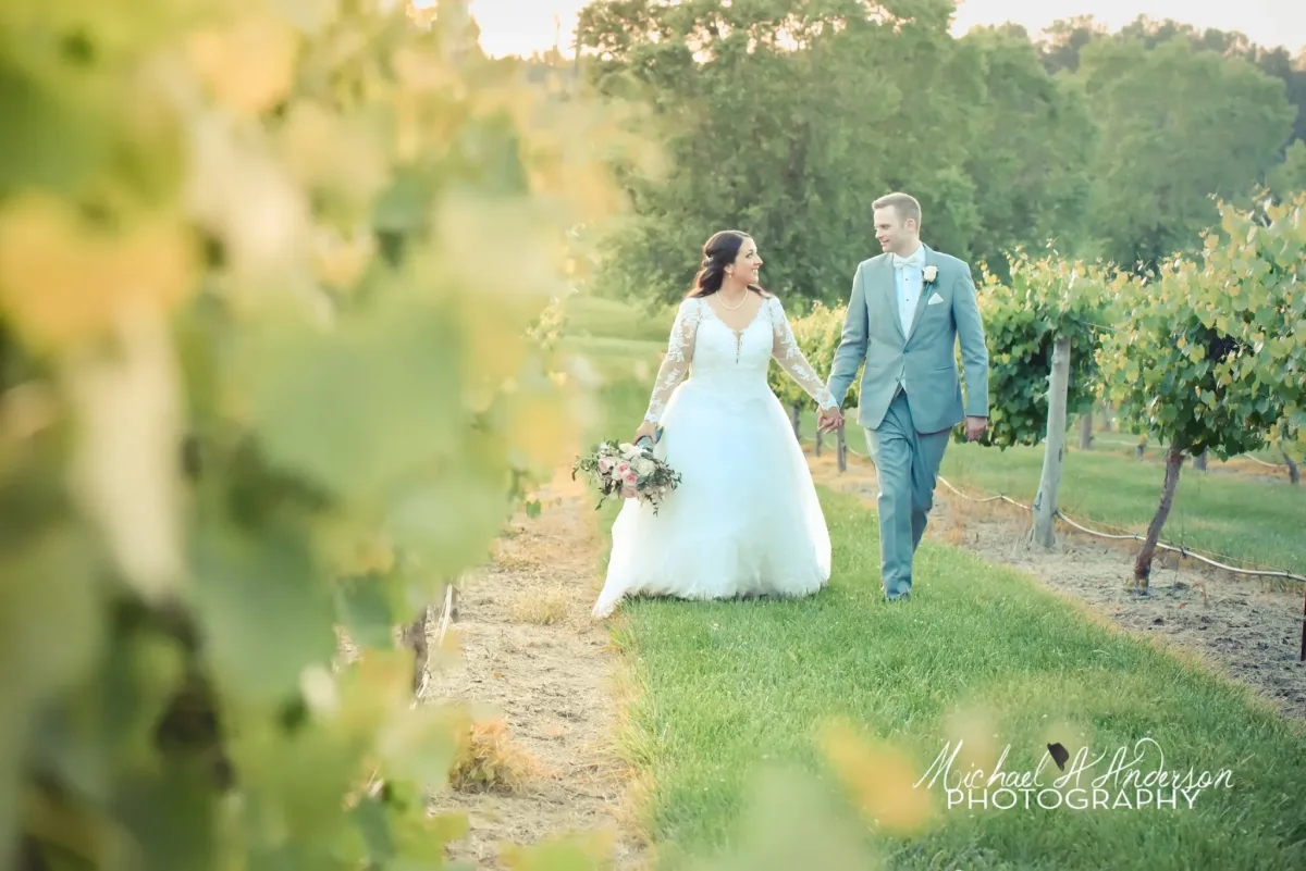 A Place in the Vineyard at Dennis Vineyards