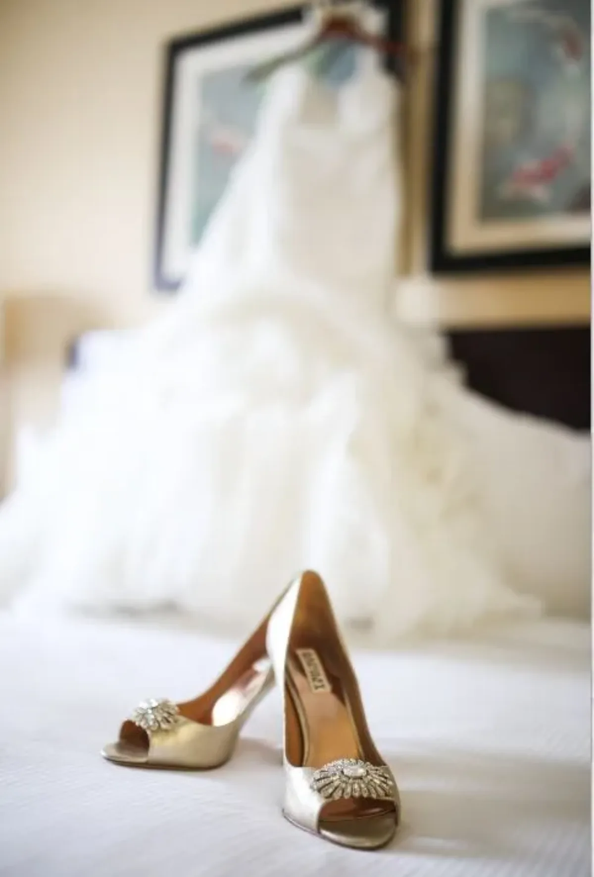 Ariel Perry Photography