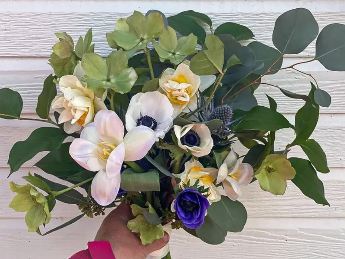 Bloom WNC