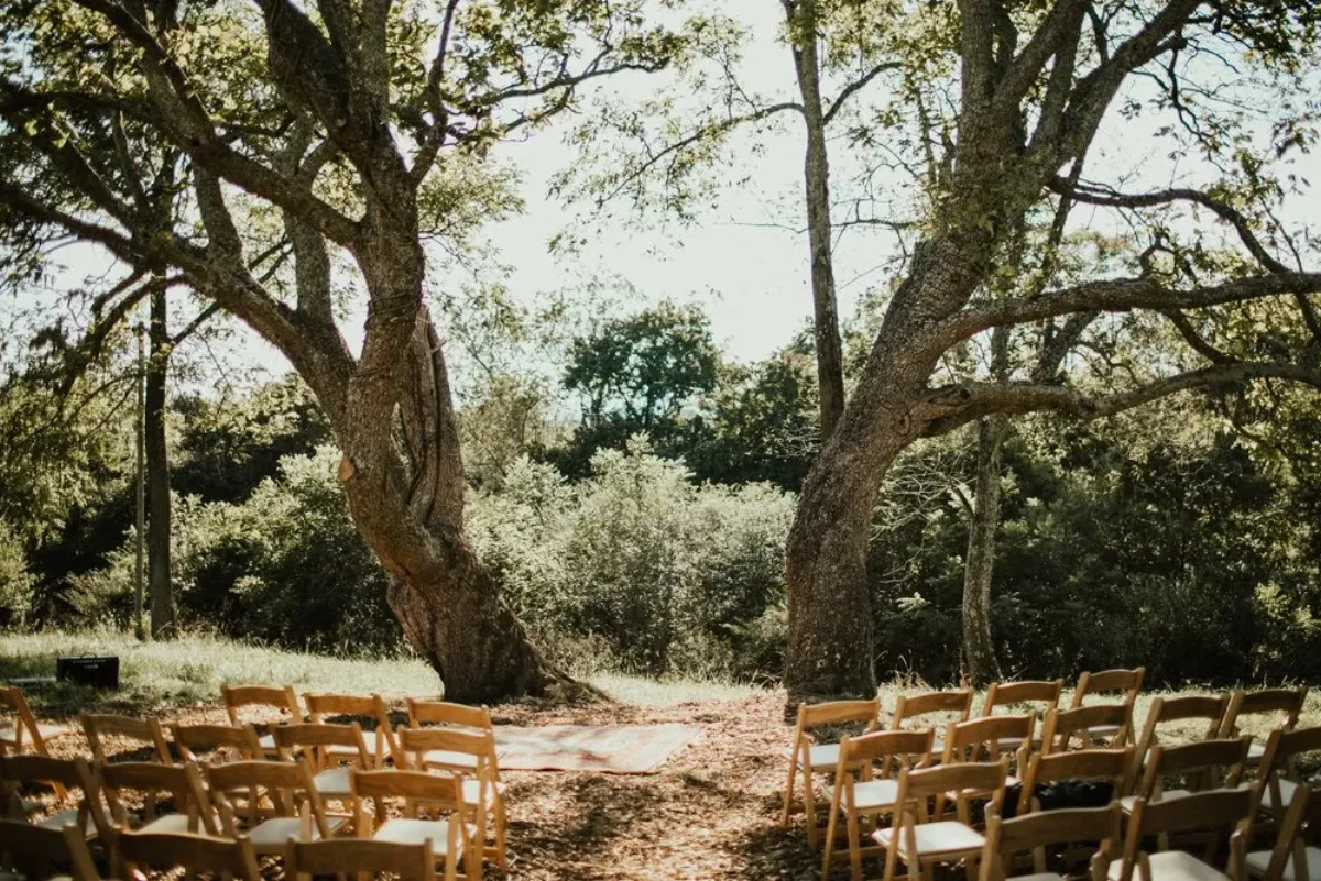 Catalpa Grove Events