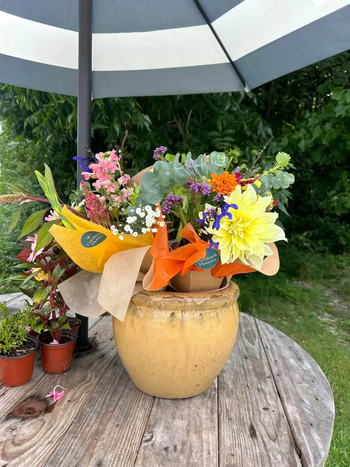 CurrituckFlowers
