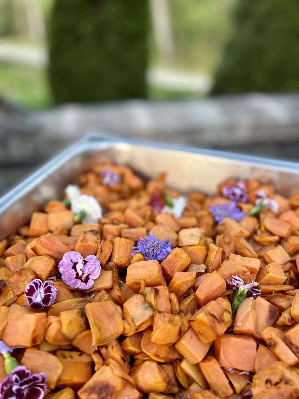 Dining Innovations Catering