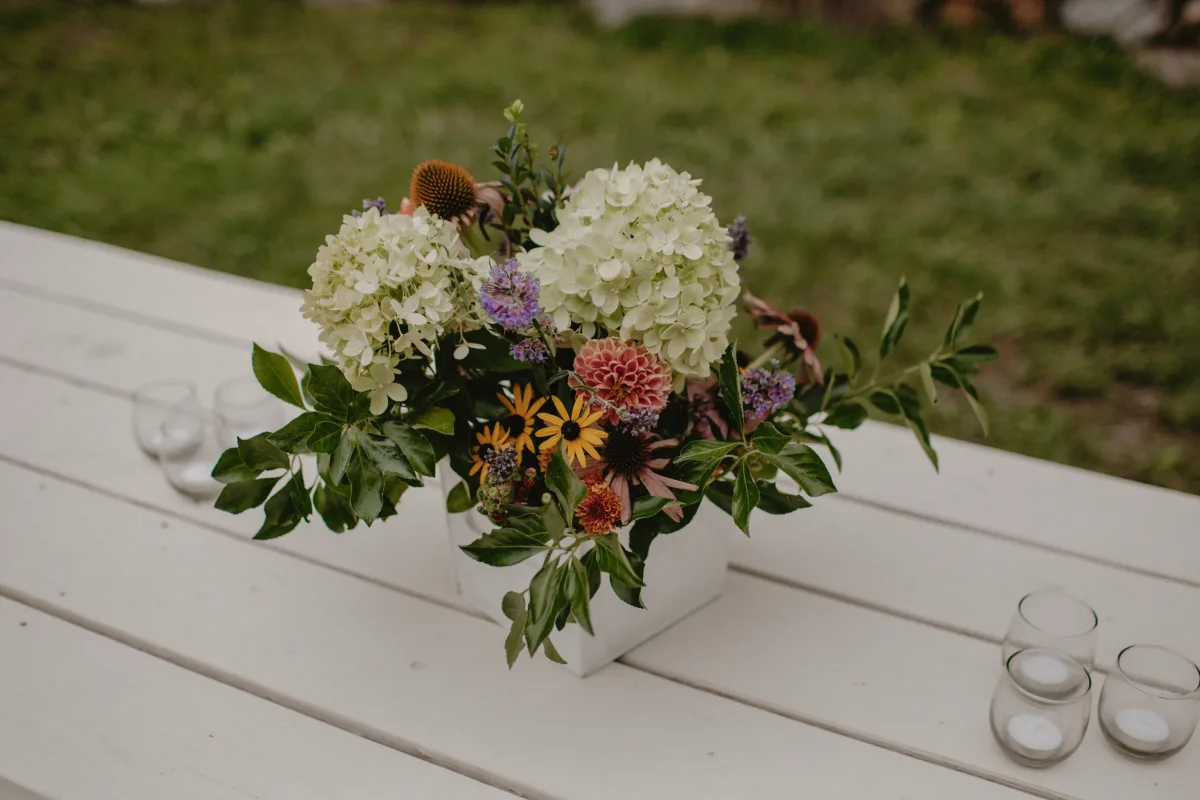Elopement Asheville