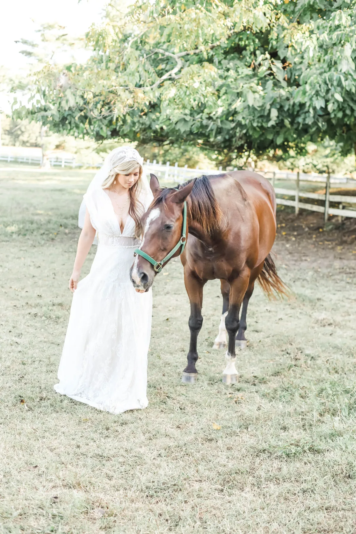 Erika Melson Photography