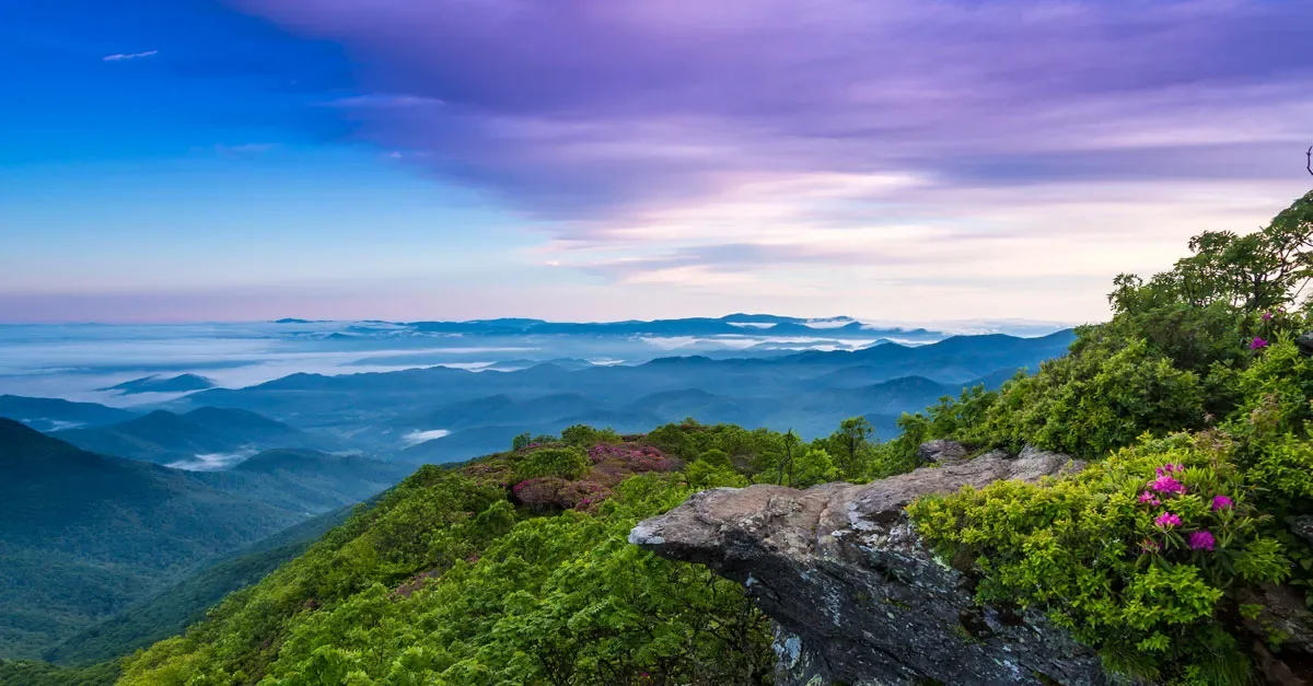 Explore Asheville