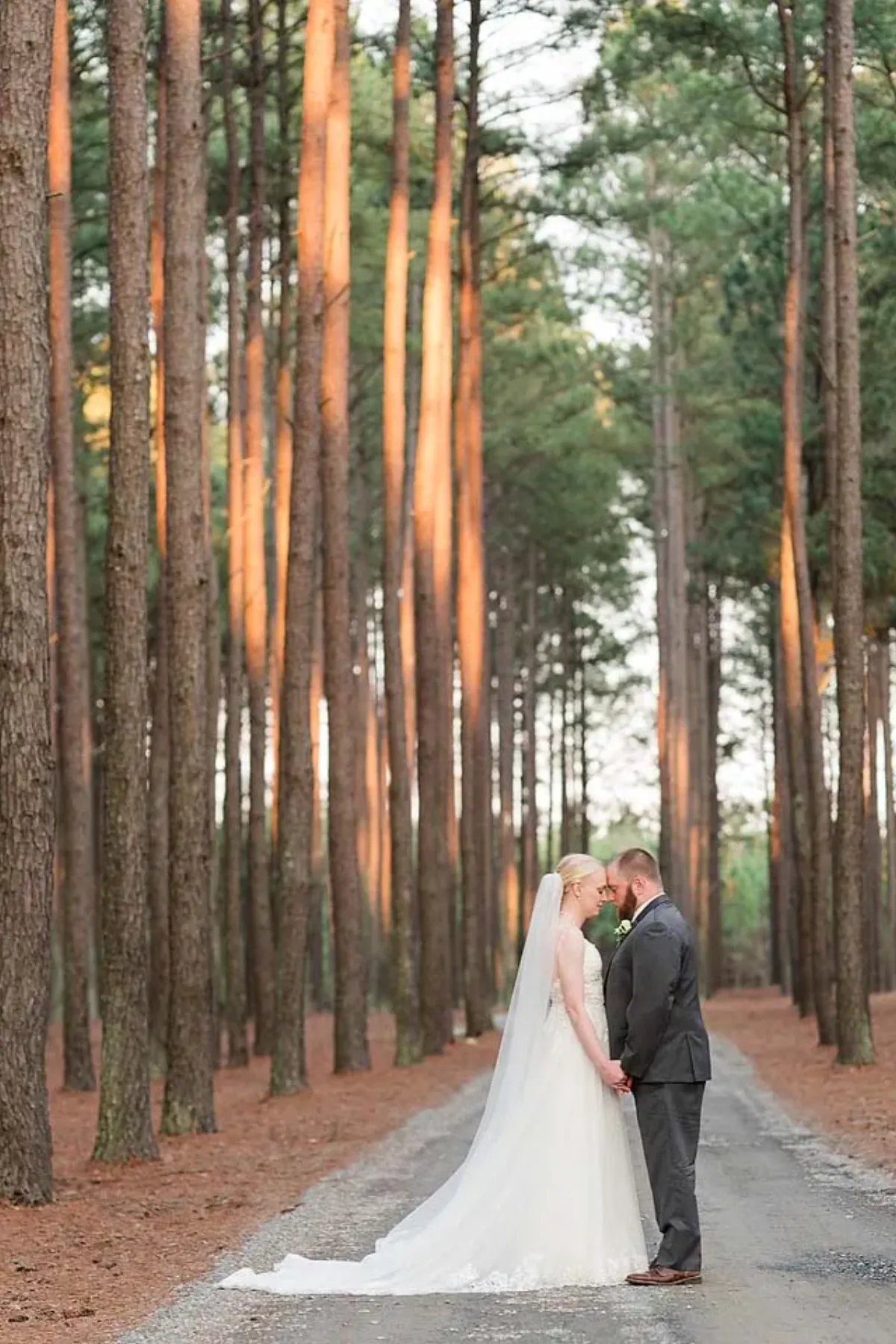 Kristi Marie's Photography