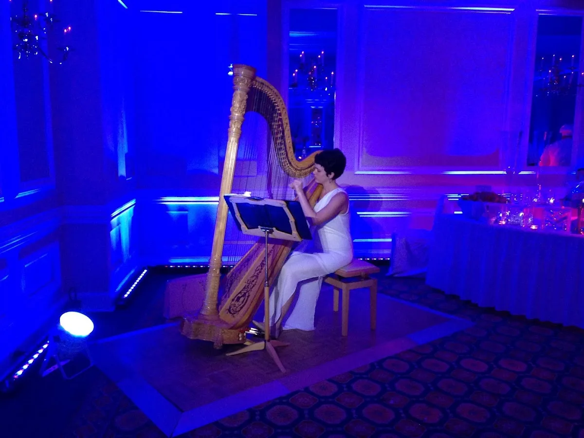Leigh Stringfellow, Harpist