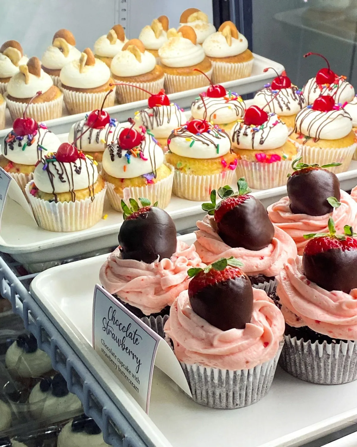 Open House Baking