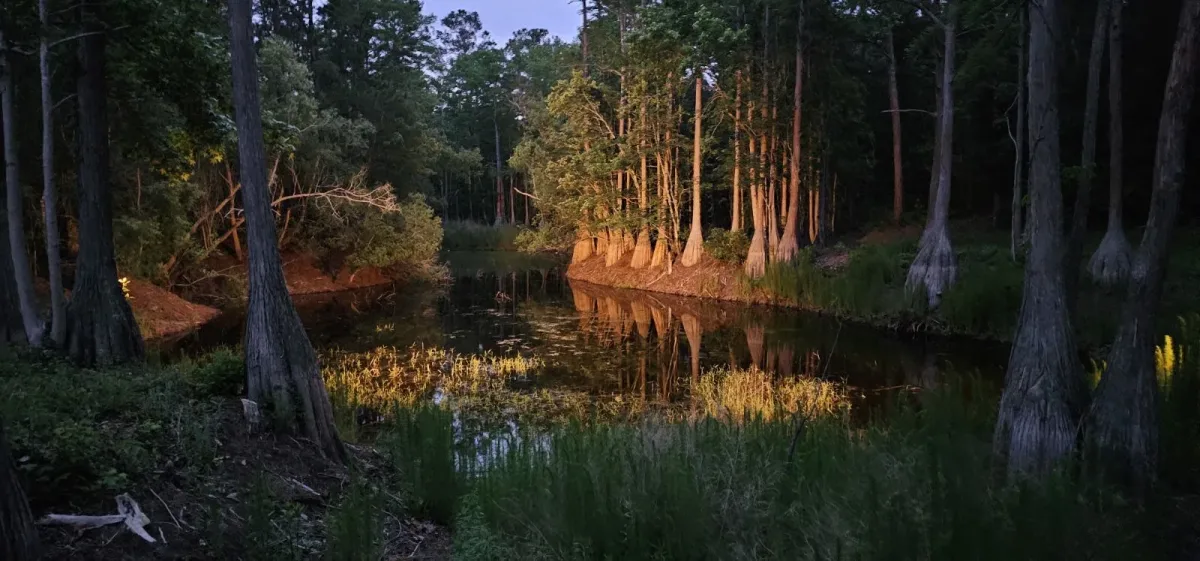Pond Break