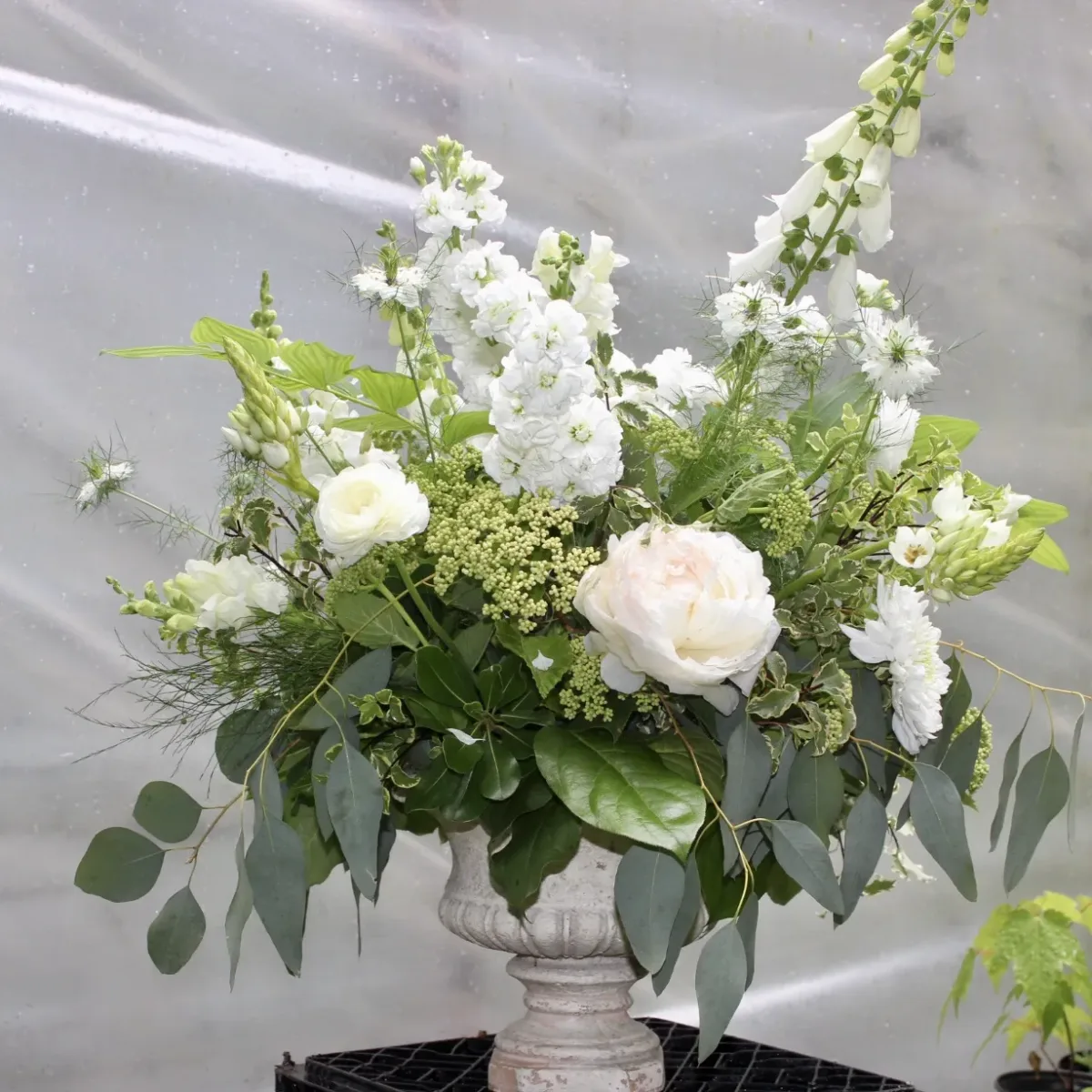 Shady Grove Gardens and Nursery