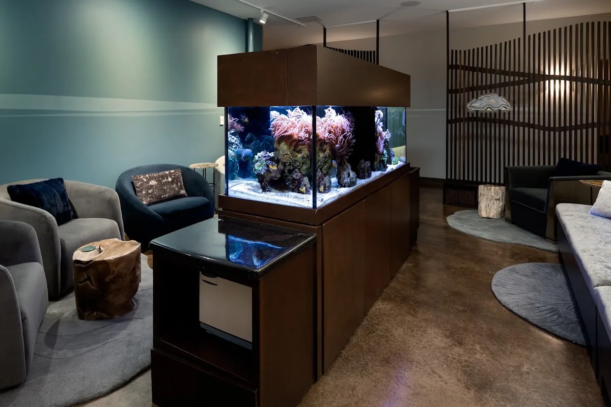 Stillpoint Wellness Spa, selected for the 2026 Asheville wedding guide
