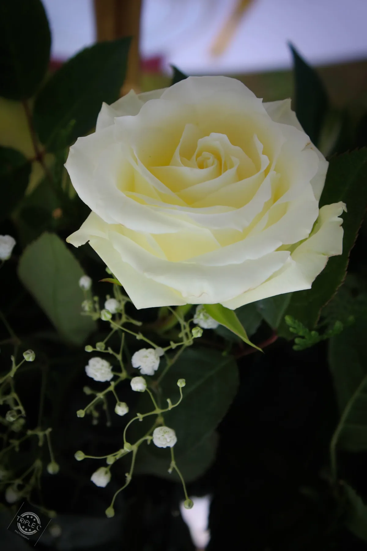 Triple C Photography