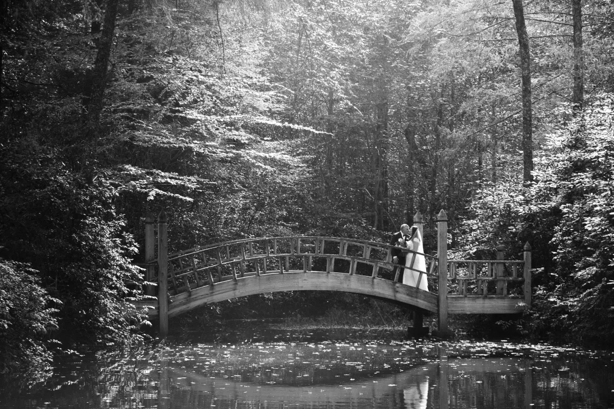 WNC Weddings & Events